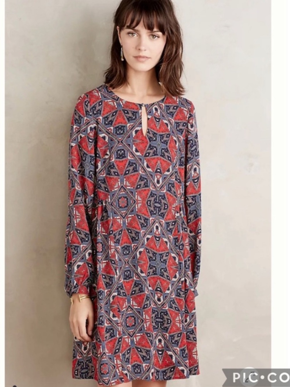 Anthropologie Paper Crown Efflorescence Swing Dress
